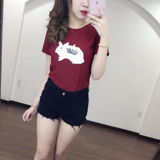 Áo thỏ vương miện in