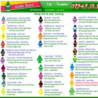 Cây thông thơm little trees feed