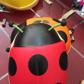 Balo bọ cánh cam
