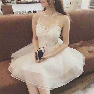 Đầm xòe ren phối lưới