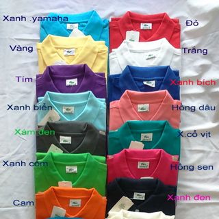 Áo thun lacoste