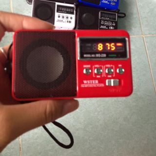 Loa thẻ nhớ fm ws239 giá sỉ