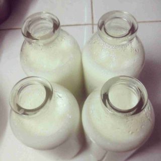 Sữa dê nguyên chất
