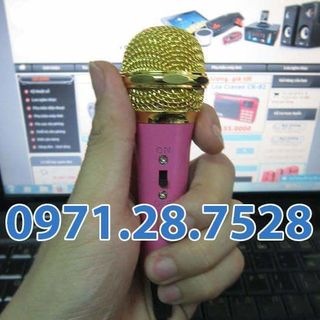Micro hát karaoke trên điện loại loại lớn