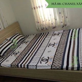 Bộ drap cotton nhung