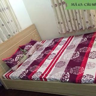 Bộ drap cotton nhung