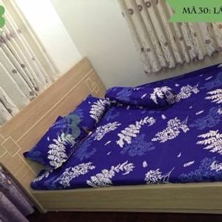 Bộ drap cotton nhung