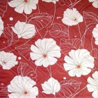 Bộ drap thắng lơi