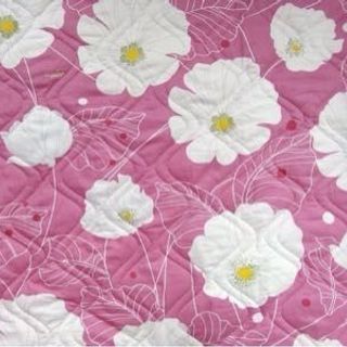 Bộ drap thắng lơi