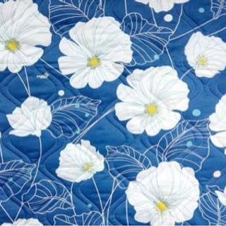 Bộ drap thắng lơi