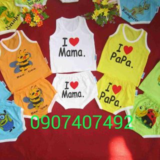 Sỉ hàng mông thúcotton 100hiệu bosbibi