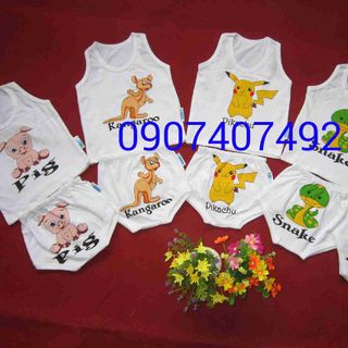 Sỉ hàng mông thúcotton 100hiệu bosbibi