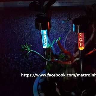 Đèn năng lượng mặt trời đổi màu cắm sân vườn - L1B