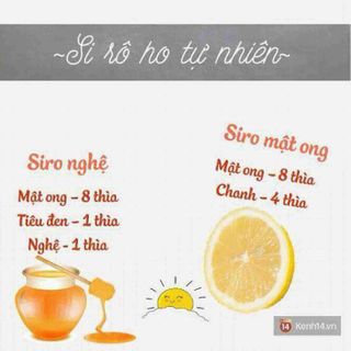 Mật ong nguyên chất 100 ong ăn hoa cà phre