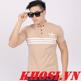 Áo thun cá sấu -atr233