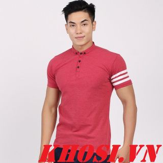 Áo thun cá sấu -atr239