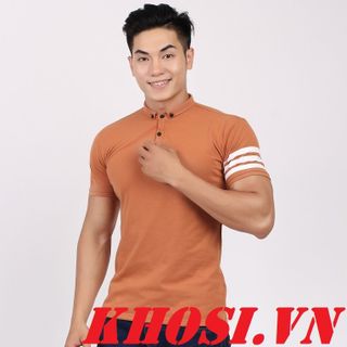 Áo thun cá sấu hàng -atr242