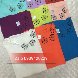 Aó kiểu ml02