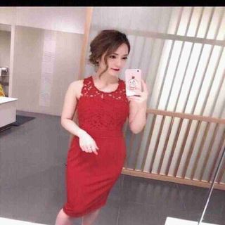 Đầm body phối ren y hình