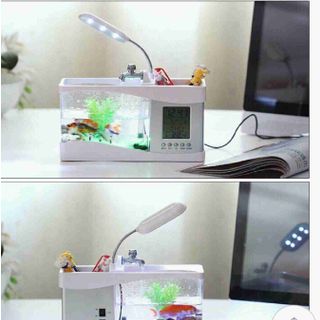 Bể cá mini