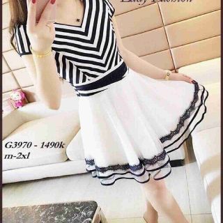 Đầm sọc phối lưới