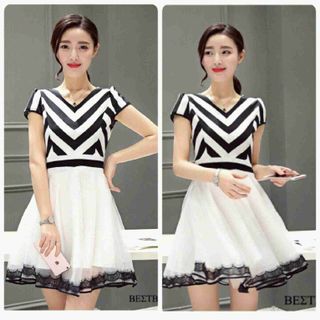 Đầm sọc phối lưới