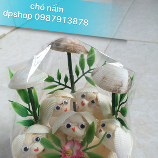 Chó nấm p42