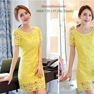 Đầm suông ren tt