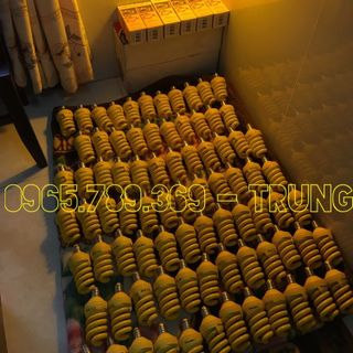 Phân phối bóng đèn đuổi muỗi lamptan xứ thái lan