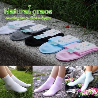 Bộ 12 đôi tất nữ cotton cổ cao màu trơn hàn quốc giá sỉ