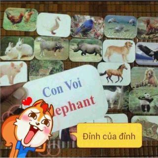 Bộ thẻ học cho bé