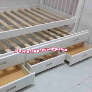 Giường 2 tầng trệt giá rẻ