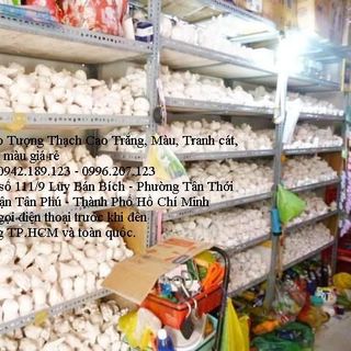 bán buôn tượng tô màu chỗ bán màu tô tượng bán tượng tô màu giá rẻ