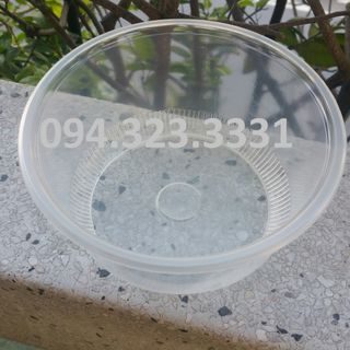 Hộp nhựa eps tự phân hủy loại trong - bảo vệ môi trường