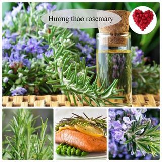 Hạt giống hoa