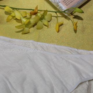 Quần lót cotton du lịch nam giá sỉ