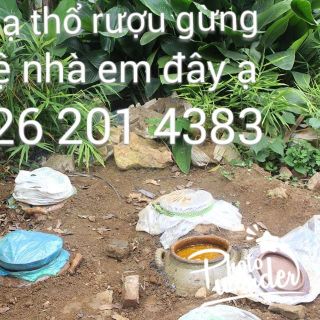 Rượu gừng nghệ hạ thổ
