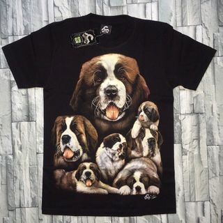 Ao cap ao dôi gia rể