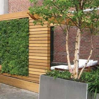Tấm vườn thẳng đứng trồng hoa trang trí trong nhà