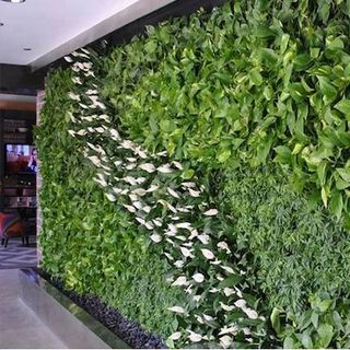 Tấm vườn thẳng đứng trồng hoa trang trí trong nhà