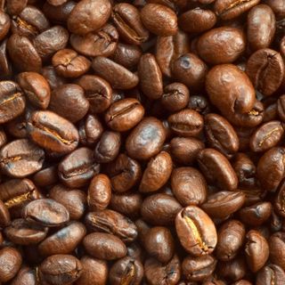 cafê nhân cafê rang 100 nguyên chất sỉ lẻ