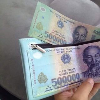 Bóp in hình tiền