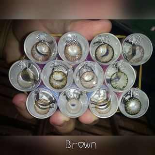 lens the look