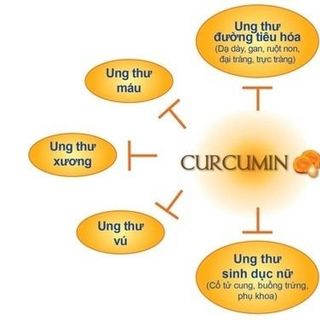 Tinh nghệ curcumin giá sỉ