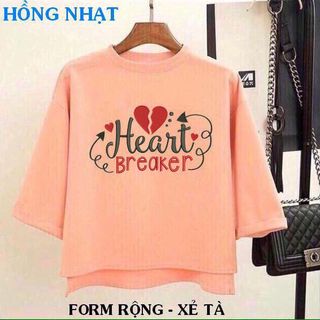 Thun cotton4c sỉ37k