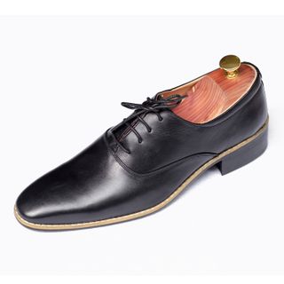 Giày da bò nam công sở ttg001