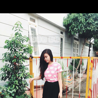 Ao thun in