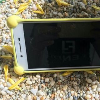 Ọp lưng đa nang có thể làm đế và bảo vệ 4 gốc