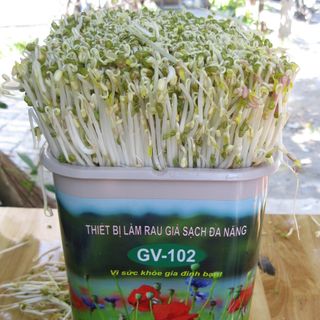 Thiết bị làm rau giá sạch đa năng gv-102 của ts đỗ ngọc chung