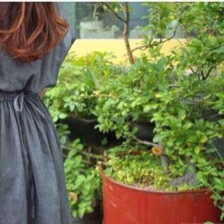 Đầm xoè cột eo